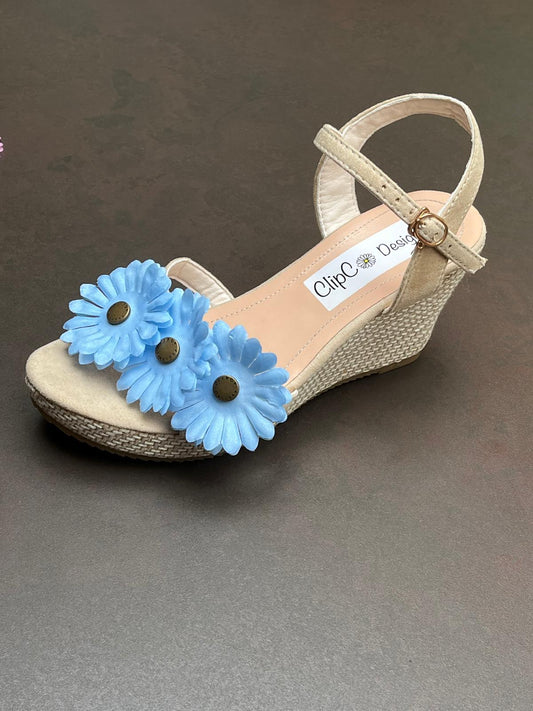 African Daisy Wedges