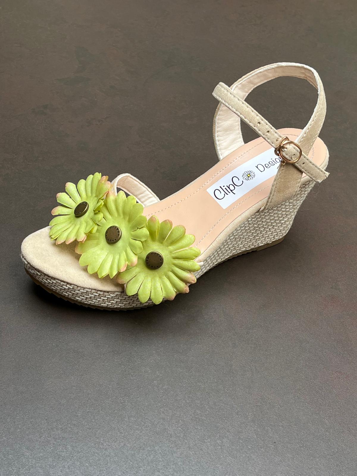 African Daisy Wedges