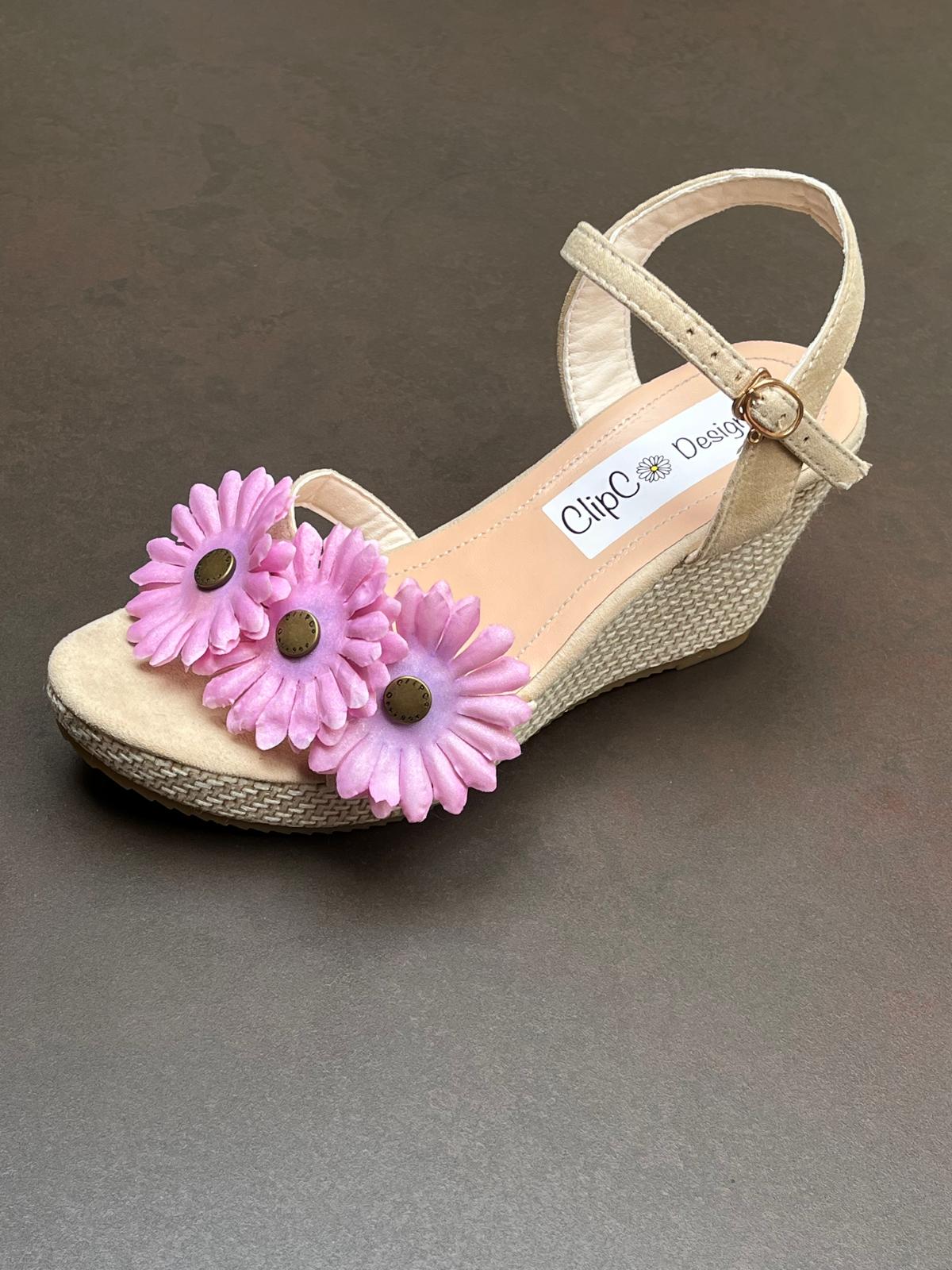 African Daisy Wedges