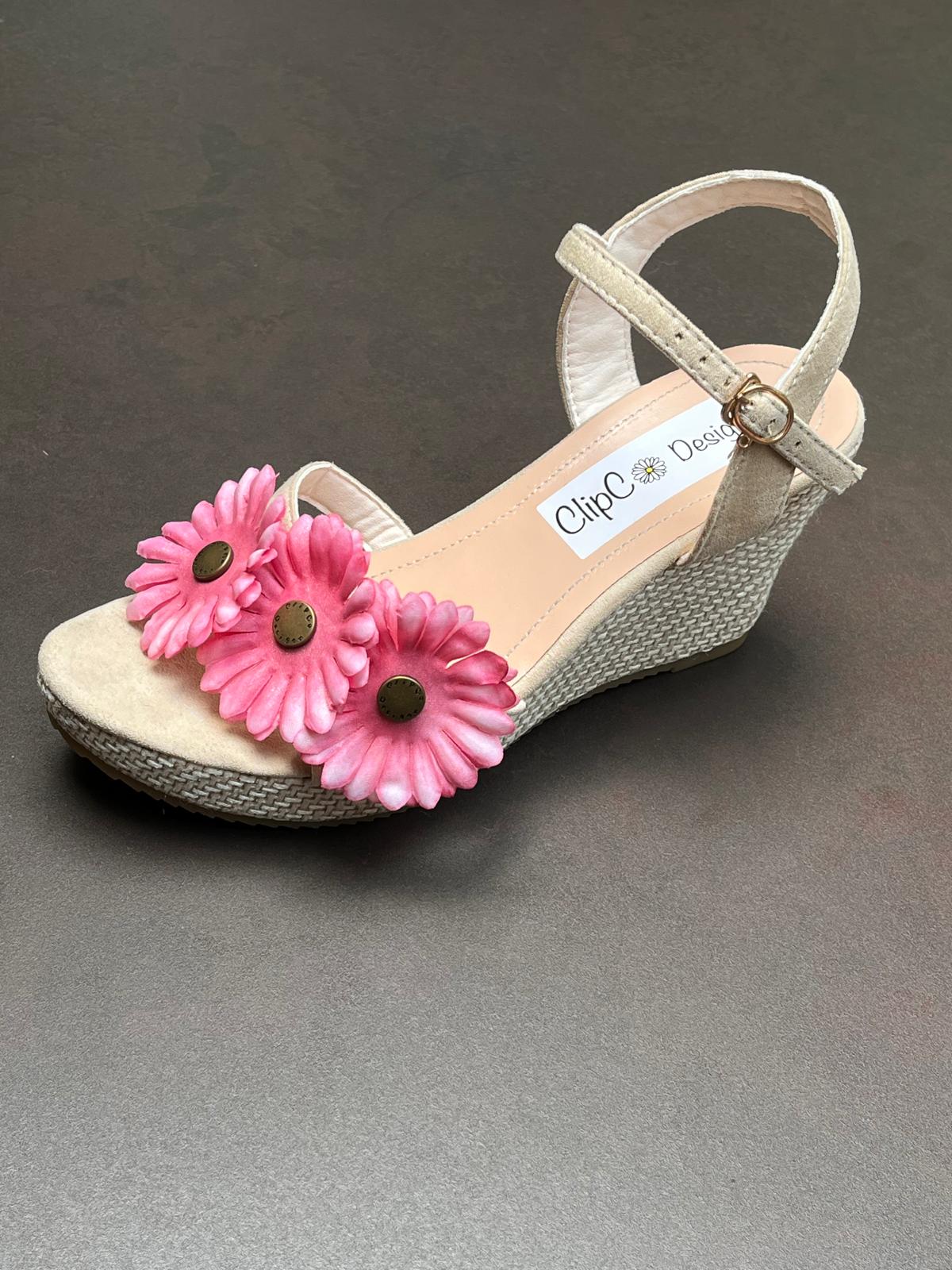 African Daisy Wedges