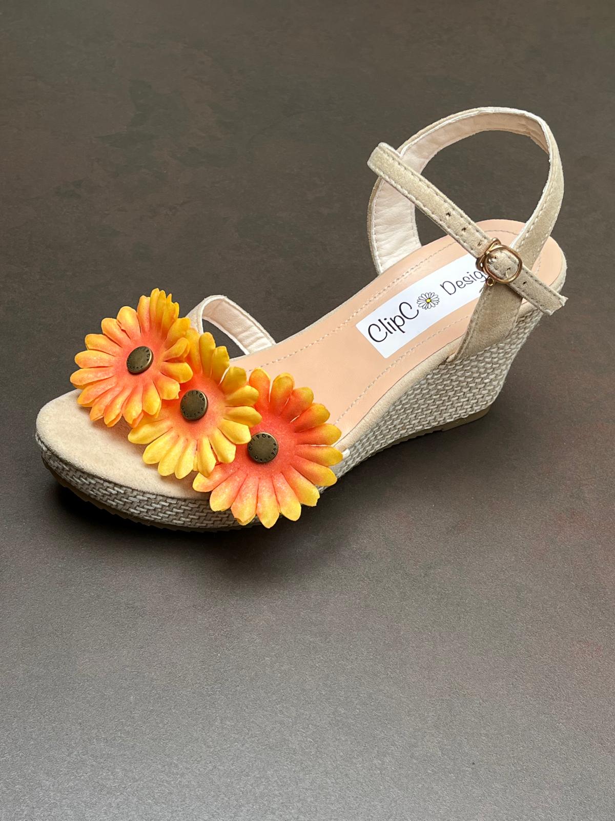 African Daisy Wedges