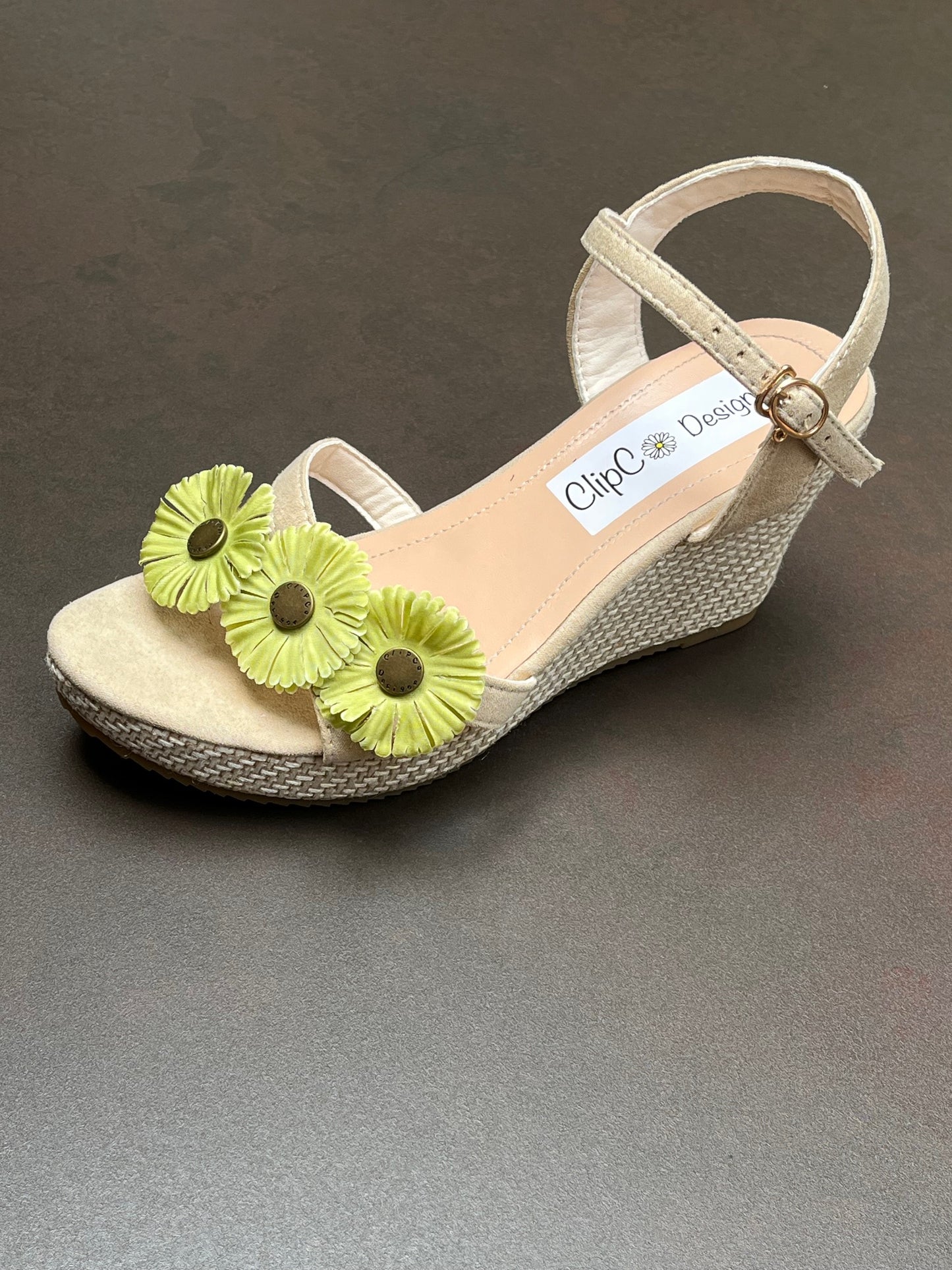 Gerbera Wedges