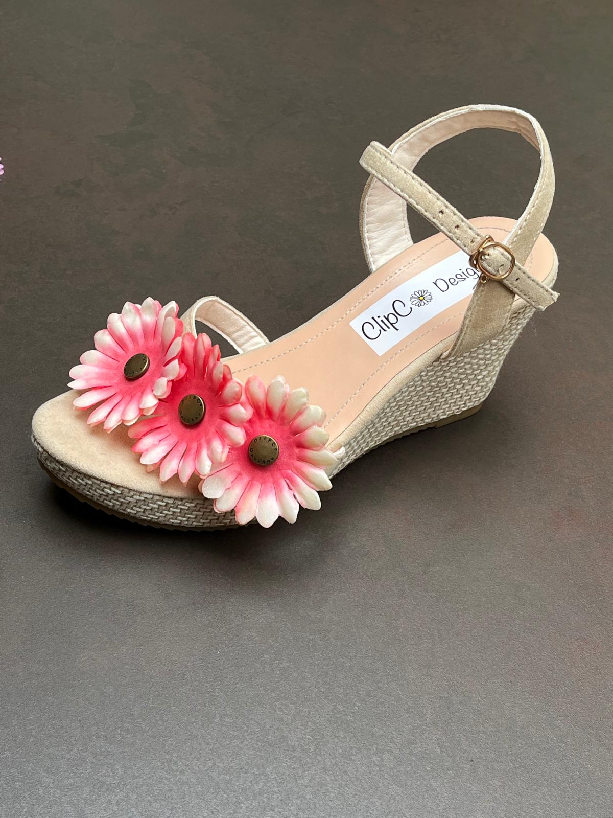African Daisy Wedges