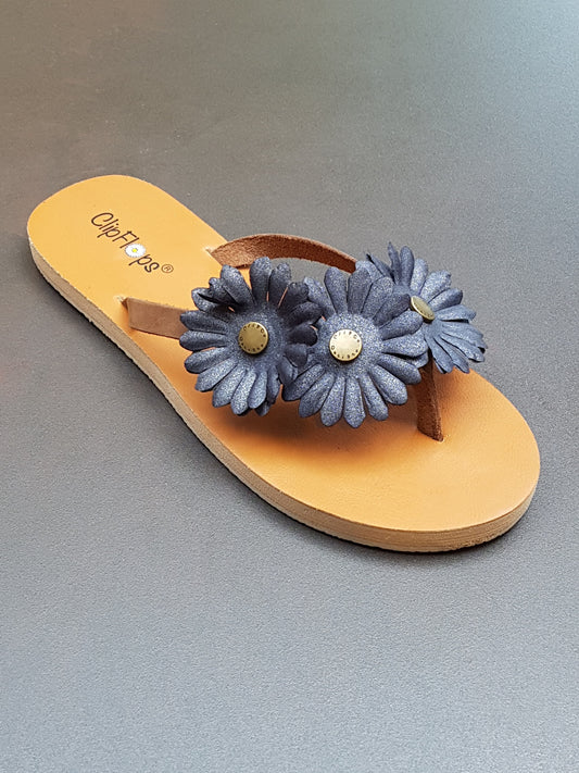 African Daisy